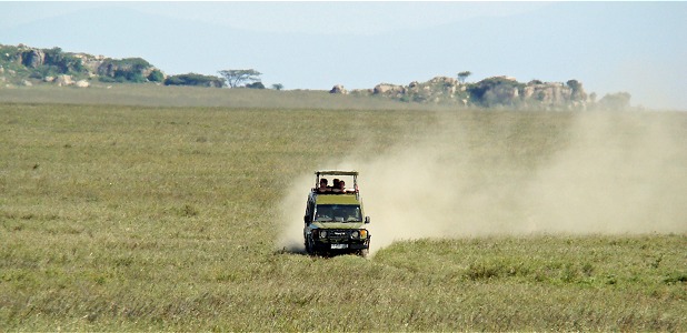 Safarifordon på savannen i Serengeti i Tanzania.