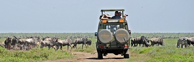 Djurskådning i södra Serengeti.